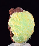 2.5cm PHOSPHOPHYLLITE APPLE BOTRYOIDAL CRYSTAL HOLY GRAIL OF MINERALS BOLIVIA