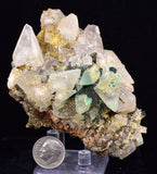 8.5cms CALCITE TOOTH DOG WITH QUARTZ CRYSTALS PERU SHINY MINERAL SPECIMEN GB45