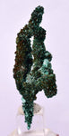5.1cms MALACHITE CRYSTALS MINERAL SPECIMEN AHOULI MINES MOROCCO UB231