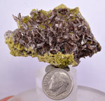 5.7cms PREMIUM AXINITE QUARTZ CRYSTALS PERU AESTHETIC COLLECTOR AB190