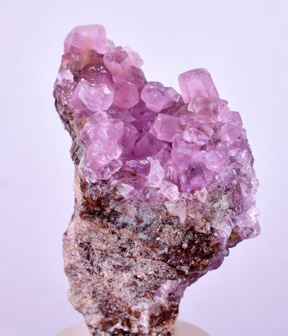 5cms COBALTOAN CALCITE SHINY CRYSTAL MOROCCO MINERAL SPECIMEN GB62