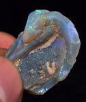 2.2 cms BLUE OPAL SHELL CLAMP FOSSIL AUSTRALIA COBBER PEDY 2000 DISCOVERY  OB141