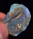 2.2 cms BLUE OPAL SHELL CLAMP FOSSIL AUSTRALIA COBBER PEDY 2000 DISCOVERY  OB141