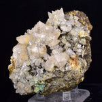 9.5cms CALCITE TOOTH DOG WITH QUARTZ CRYSTALS PERU SHINY MINERAL SPECIMEN GB46