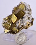 5.1cms PYRITE CHALCOPYRITE CUBIC QUARTZ  PERU SHINY CRYSTALS MINERAL MB109