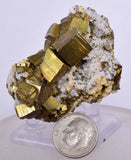 5.1cms PYRITE CHALCOPYRITE CUBIC QUARTZ  PERU SHINY CRYSTALS MINERAL MB109