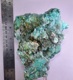 20cm GEM CHRYSOCOLLA IN SELENITE LILY MINE PERU MALACHITE STALACTITES CB359