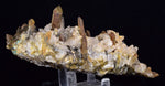 14cms CALCITE TOOTH DOG WITH QUARTZ CRYSTALS PERU SHINY MINERAL SPECIMEN GB47