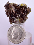 2.7cms PREMIUM AXINITE QUARTZ CRYSTALS PERU AESTHETIC COLLECTOR AB199
