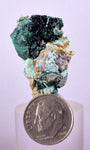 3.4cms ATACAMITE DRUZY MALCHITE CHRYSOCOLLA LILY MINE PERU MINERAL AB73