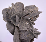 12cms SELENITE DESERT ROSE GYPSUM CRYSTALS COLLECTORS PERU MINERAL SPECIMEN TB56