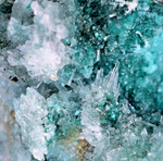 20cm GEM CHRYSOCOLLA IN SELENITE LILY MINE PERU MALACHITE STALACTITES CB359