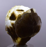 3.8 cms DESERT ROSE SELENITE CRYSTAL PERU GOLDEN SUISEKI TRANSLUCENT TB37
