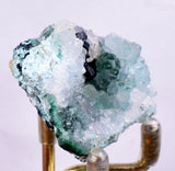 3.9cms ATACAMITE DRUZY CHRYSOCOLLA  STALACTITE LILY MINE PERU MINERAL AB42