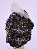 5.9cms MANGANOAN CALCITE QUARTZ PYRITE CHALCOPYRITE SCHEELITE ? PERU GB67
