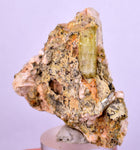 3.5cms YELLOW APATITE CRYSTALS IMILCHIL MOROCCO MINERAL SPECIMEN AB235