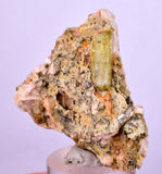3.5cms YELLOW APATITE CRYSTALS IMILCHIL MOROCCO MINERAL SPECIMEN AB235