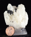 5.6cms HUBNERITE QUARTZ CRYSTALS MINERAL SPECIMEN COLLECTOR PERU MB06
