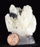5.6cms HUBNERITE QUARTZ CRYSTALS MINERAL SPECIMEN COLLECTOR PERU MB06