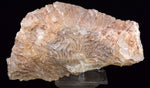 23cms NAZCA LINES CALCITE CRYSTALS PERU SHINY MINERAL SPECIMEN COLLECTOR GB63