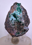 9cm GEM BROCHANTITE CHRYSOCOLLA MALACHITE DRUZY QUARTZ DIOPTASE ? CHILE ZB27