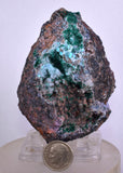 9cm GEM BROCHANTITE CHRYSOCOLLA MALACHITE DRUZY QUARTZ DIOPTASE ? CHILE ZB27