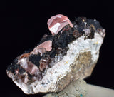 1.8cms GEM RHODOCHROSITE CRYSTALS PERU UCHUCHACCUA MINE MINERAL SPECIMEN RB480