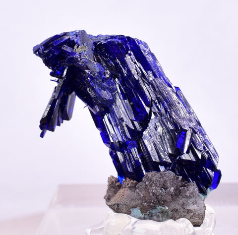 2.3cm GEM AZURITE CRYSTALS TSUMEB NAMIBIA ON MATRIX ROYAL BLUE SHARP SHINY UB239