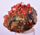 4.2cm VANADINITE HOLLANDITE CRYSTAL MIBLADEN MOROCCO  MINERAL SPECIMEN WB32