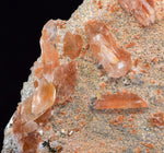 5.5cms LIMONITE IN SELENITE CRYSTAL COLLECTOR PERU MINERAL SPECIMEN TB106