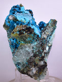 9.7cms QUARTZ CHRYSOCOLLA BOTRYOIDAL TENTADORA MINE PERU MINERAL SPECIMEN CB106