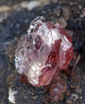 4.6cms GEM RHODOCHROSITE CRYSTALS PERU UCHUCCHACUA MINE MINERAL SPECIMEN RB350