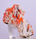 3.1cms GEM RED CROCOITE CRYSTALS CLUSTER MATRIX ADELAIDE MINE AUSTRALIA ZB35