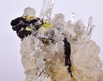 6.4cms HUBNERITE QUARTZ CRYSTALS MINERAL SPECIMEN COLLECTOR PERU MB69