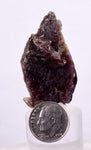 4.4cm GEM AXINITE CRYSTAL PERU SUPER SHINY MINERAL SPECIMEN COLLECTOR AB31
