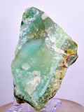 190grs GEM SILICA DRUZY CHRYSOCOLLA LILY MINE PERU CHALCEDONY QUARTZ ROUGH SB131