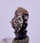 0.8cms NATIVE SILVER WIRE PERU UCHUCCHACUA MINE MINERAL SPECIMEN HB221