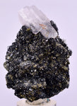 5.9cms MANGANOAN CALCITE QUARTZ PYRITE CHALCOPYRITE SCHEELITE ? PERU GB67