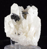 5.6cms HUBNERITE QUARTZ CRYSTALS MINERAL SPECIMEN COLLECTOR PERU MB06
