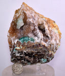 9.8cms DRUZY CHRYSOCOLLA MALACHITE QUARTZ LILY MINE PERU COPPER MINERAL DB54