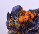 3.6cms GEM RARE WULFENITE FLUORITE MIMETITE MINI CRYSTALS ALAMO ARIZONA USA YB34