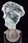 3.7cms CHRYSOCOLLA INSIDE SELENITE CRYSTAL LILY MINE 2000 DISCOVERY PERU TB99