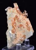 5.5cms LIMONITE IN SELENITE CRYSTAL COLLECTOR PERU MINERAL SPECIMEN TB106