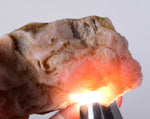 49.6grams GEM PINK OPAL PERU ROUGH CORAL COLOR TRANSLUCENT MINERAL PB10