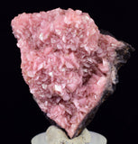 4.3cms RHODOCHROSITE CRYSTAL  N'CHWANING II MINE SOUTH AFRICA  RB652
