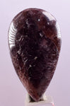 LOT 6 GEM AXINITE PURPLE CABOCHONS  PERU SUPER SHINY RARE MINERAL SPECIMEN BB321
