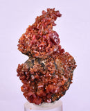 5.8cm VANADINITE HOLLANDITE CRYSTAL MIBLADEN MOROCCO  MINERAL SPECIMEN WB24