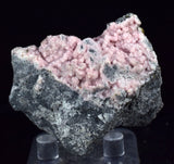 4.9cms RHODOCHROSITE ROSETTE PYRITE CRYSTALS PERU MINERAL SPECIMEN RB576