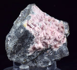 4.7cms RHODOCHROSITE ROSETTE PERU PINK CRYSTALS HUANZALA MINE MINERAL RB567