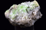 4.5cms AUGELITE CRYSTAL PERU DARK GREEN BRIGHT NEEDLE QUARTZ PASTO BUENO AE550